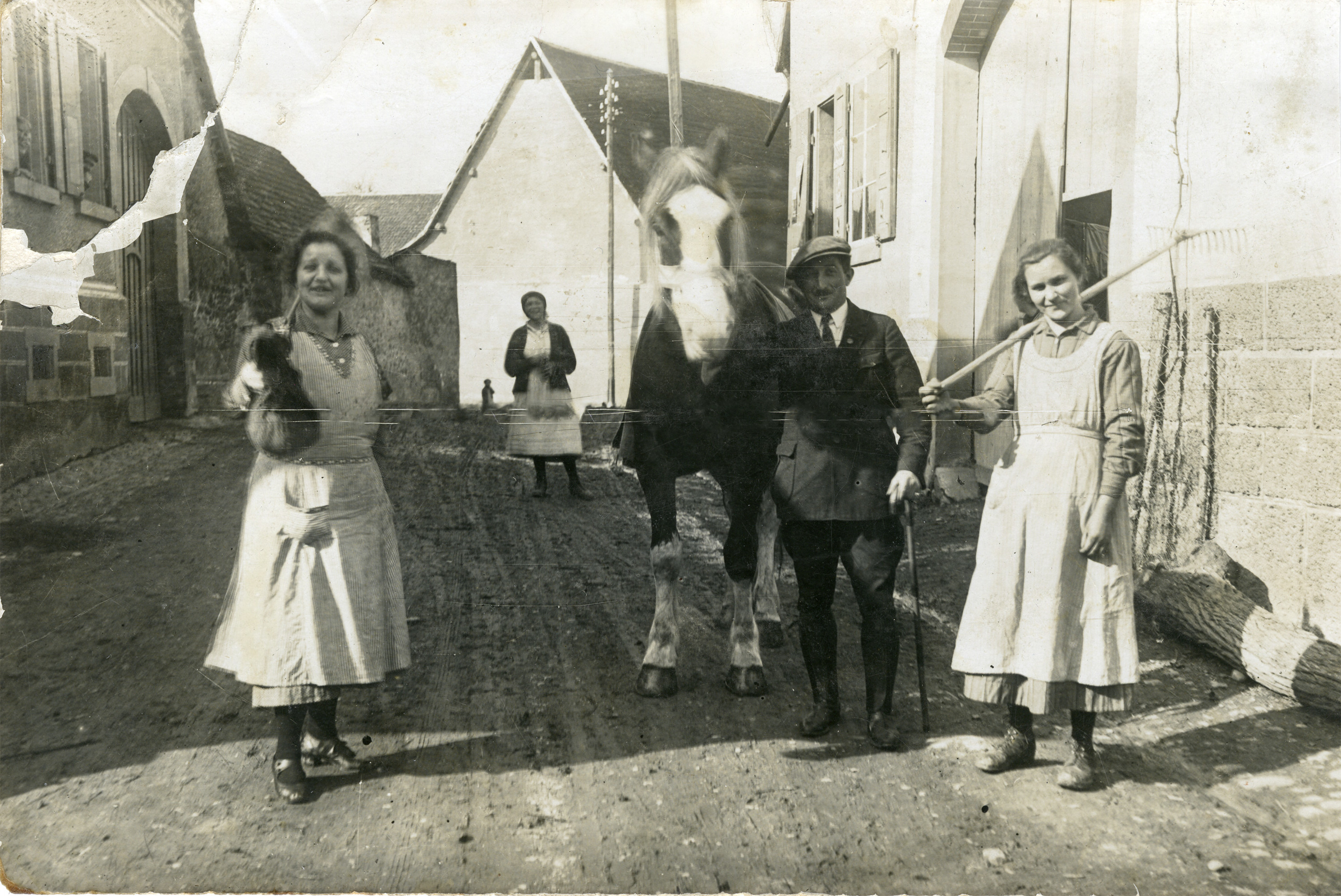 A German Jewish horsetrader holds his horse on the streets of a German town (probably Ihringen), flanked by two women.

Pictured is Daniel Judas (center), Frau Luise (nee Gibson) Jenne (right) and Frau H. Von Laedele (right).  Daniel was killed in a motorcycle accident.