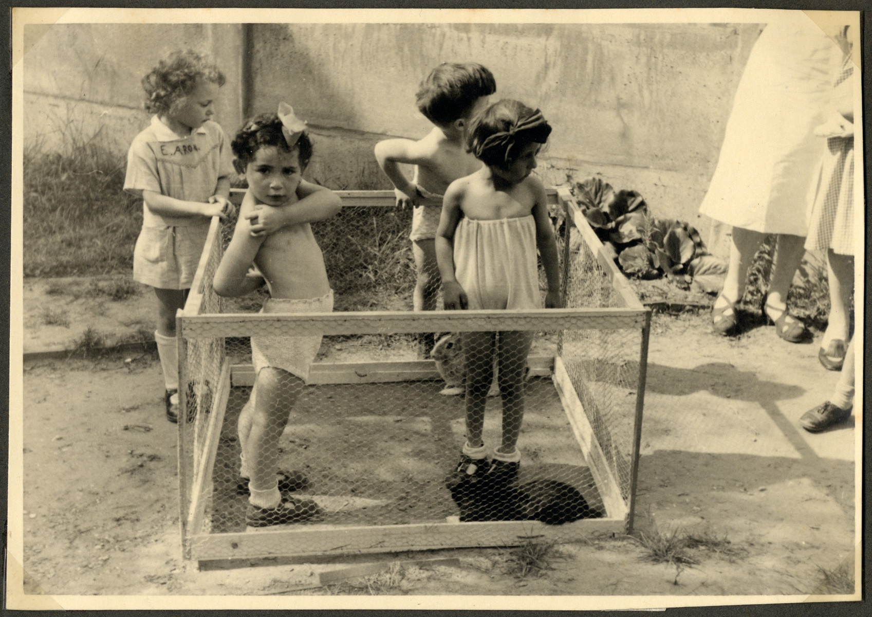 Children in the Nos Petits Jewish kindergarten stand outside in a playpen in the yard.