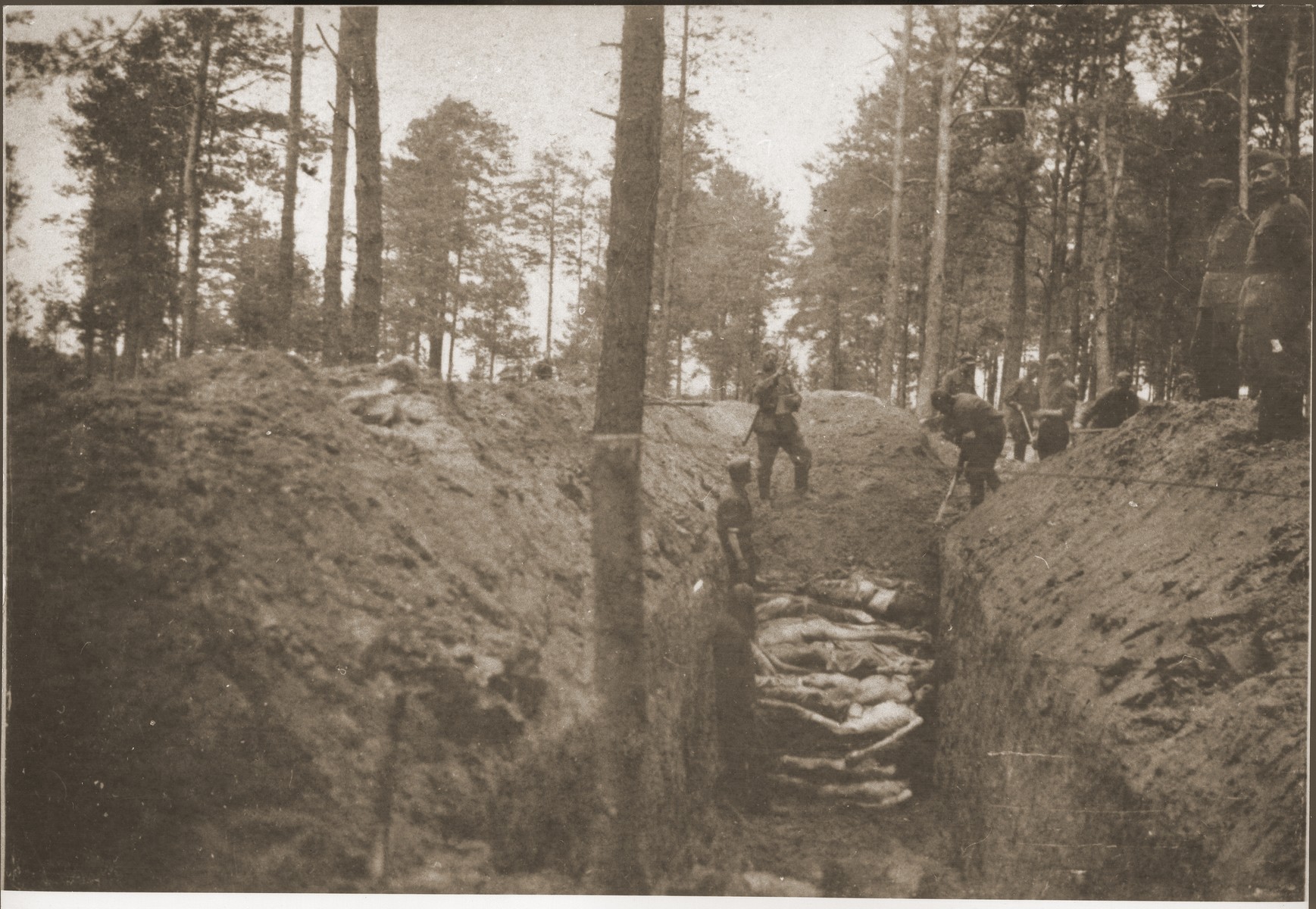A mass grave in which the corpses of Soviet POWs are being buried.