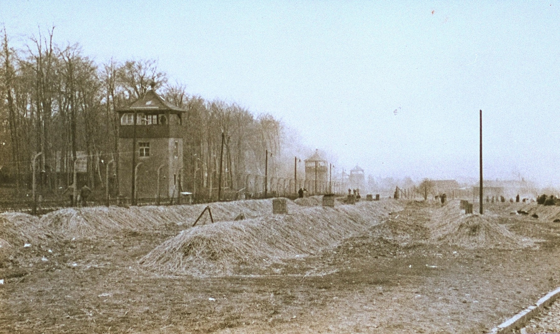 Colored view of a Buchenwald after liberation.