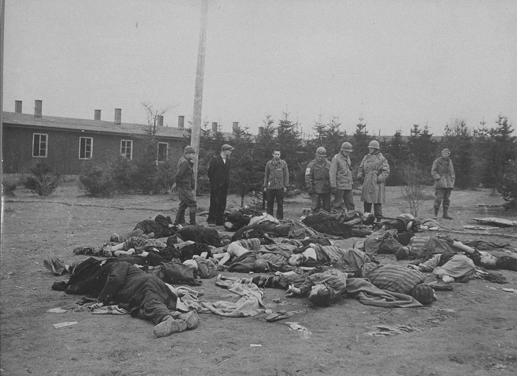 American soldiers and Ohrdruf survivors view the bodies of prisoners who were shot by the SS prior to the evacuation of the camp.