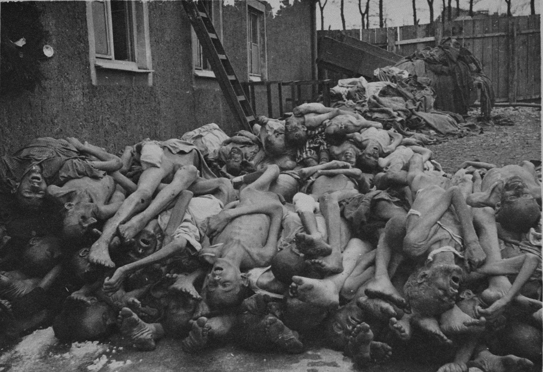 Corpses piled up behind the crematorium in Buchenwald concentration camp.