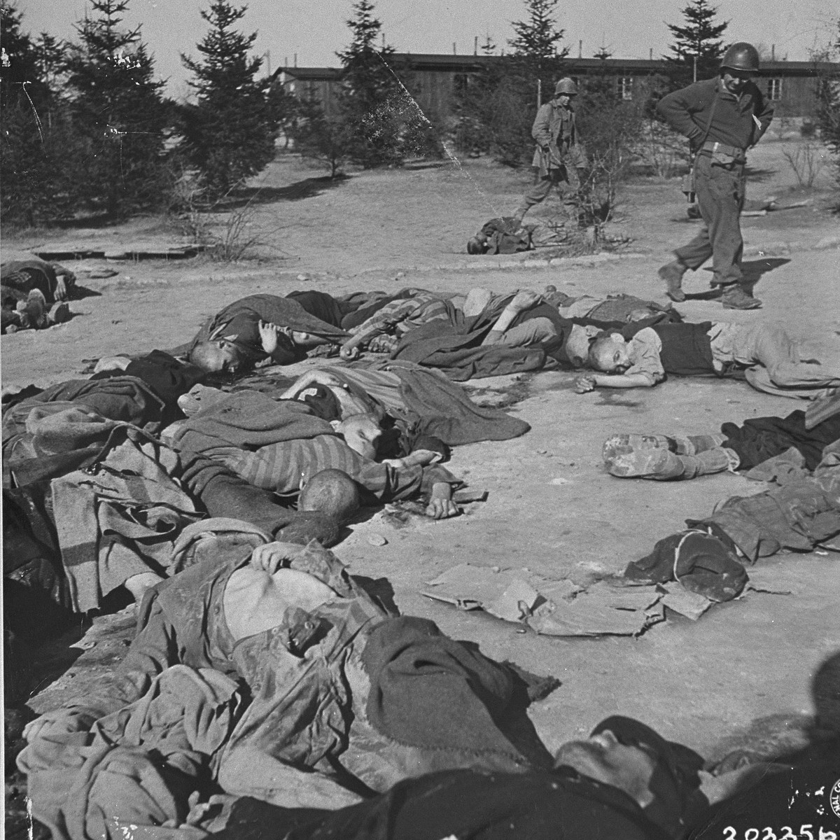 American soldiers walk past the bodies of Ohrdruf prisoners who were killed during the evacuation of the concentration camp.