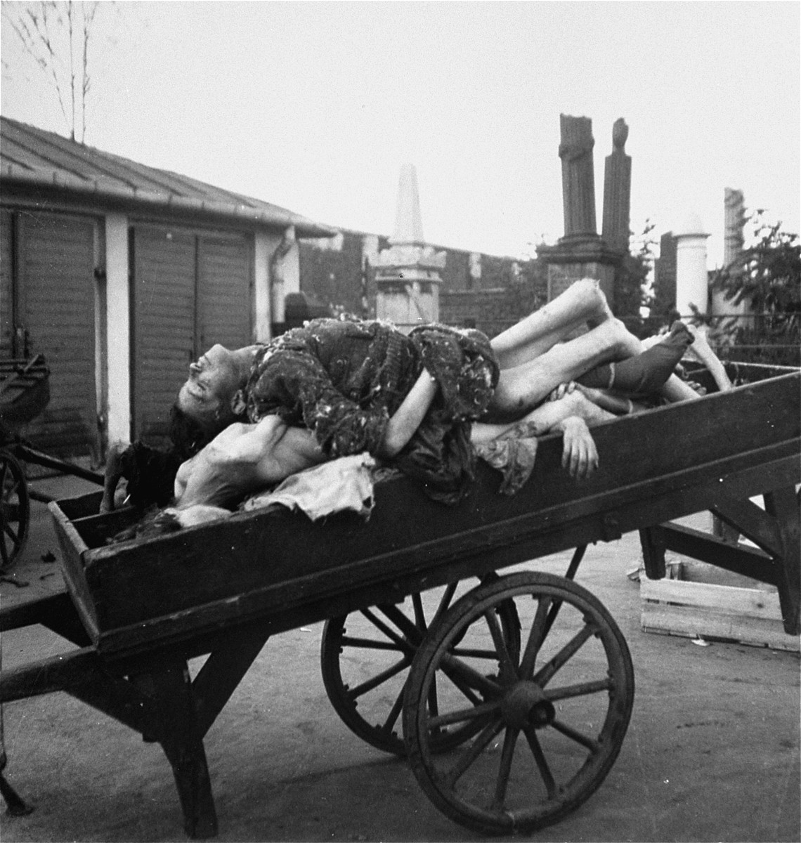 Bodies piled on a cart await burial in the Jewish cemetery on Okopowa Street in the Warsaw ghetto.

Joest's caption reads: "In addition to me there were other German soldiers who photographed these carts.  'It is an attraction,' one man said to me.  [Can you imagine] if they sent these photos home?"