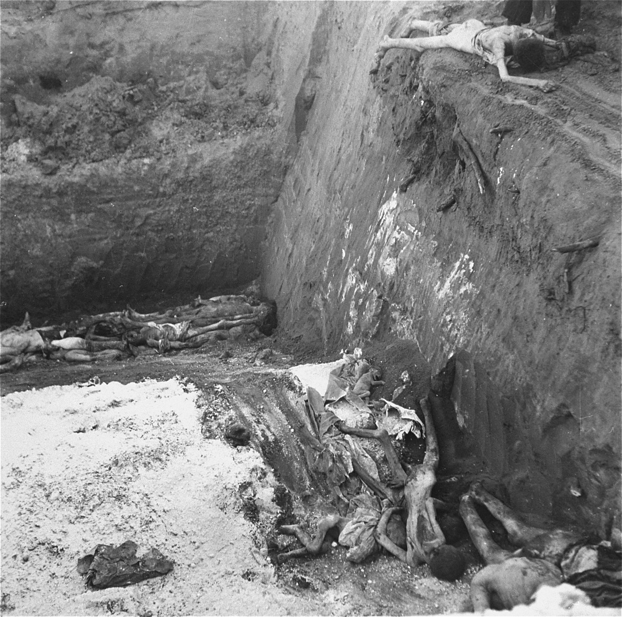 Corpses at the bottom of a mass grave in the Okopowa Street cemetery.  

Joest's caption reads: "Between all of the bodies of adults thrown into the grave, lay also [that of] a small dead child."