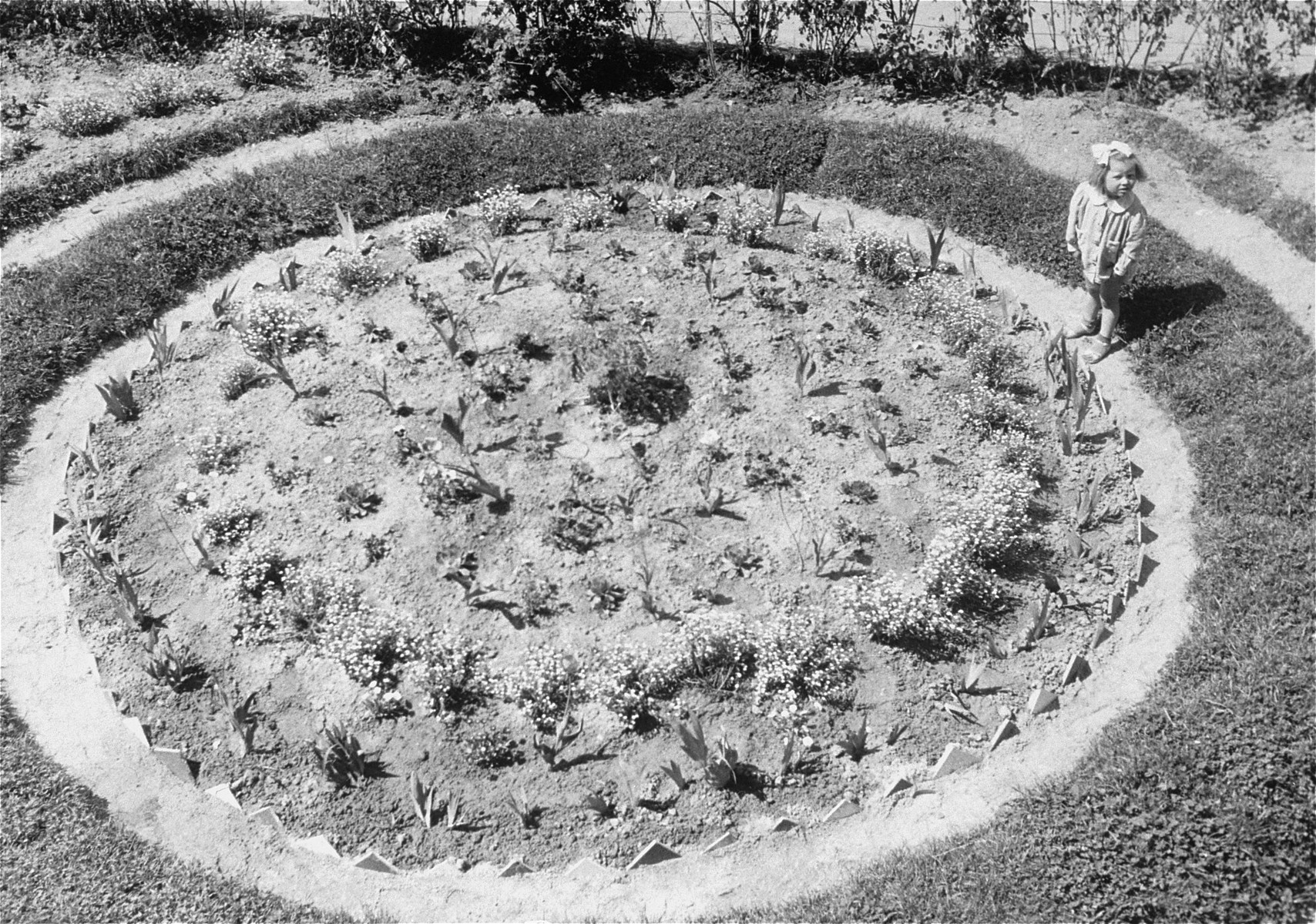 A small child stands in a garden at Bindermichl DP camp.