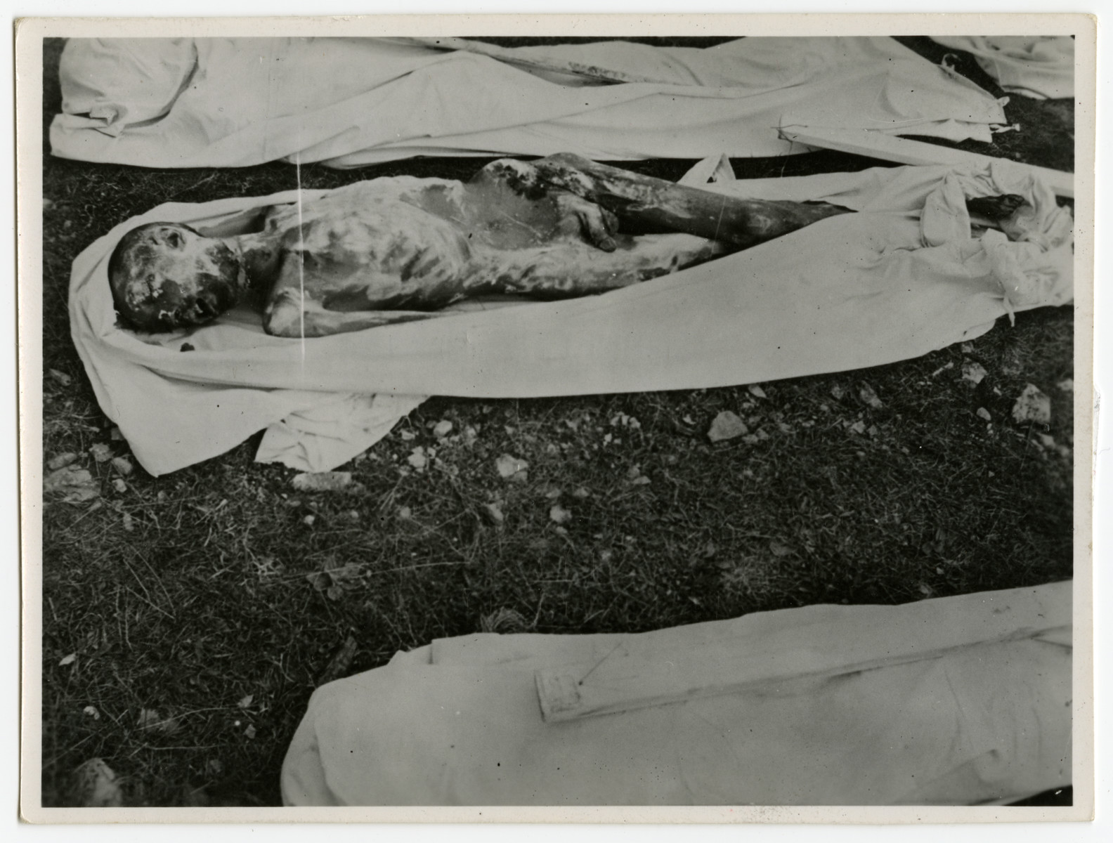 The decomposed corpse of a prisoner that has been prerpared for burial by local German civilians.  Each corpse was buried in a sheet and assigned a numbered marker. 

The original caption reads, "Bodies prepared for burial by the civilians of Ohrdruf Germany. Some have probably been dead for several weeks. Ohrdruf concentration camp, Germany." [sic]