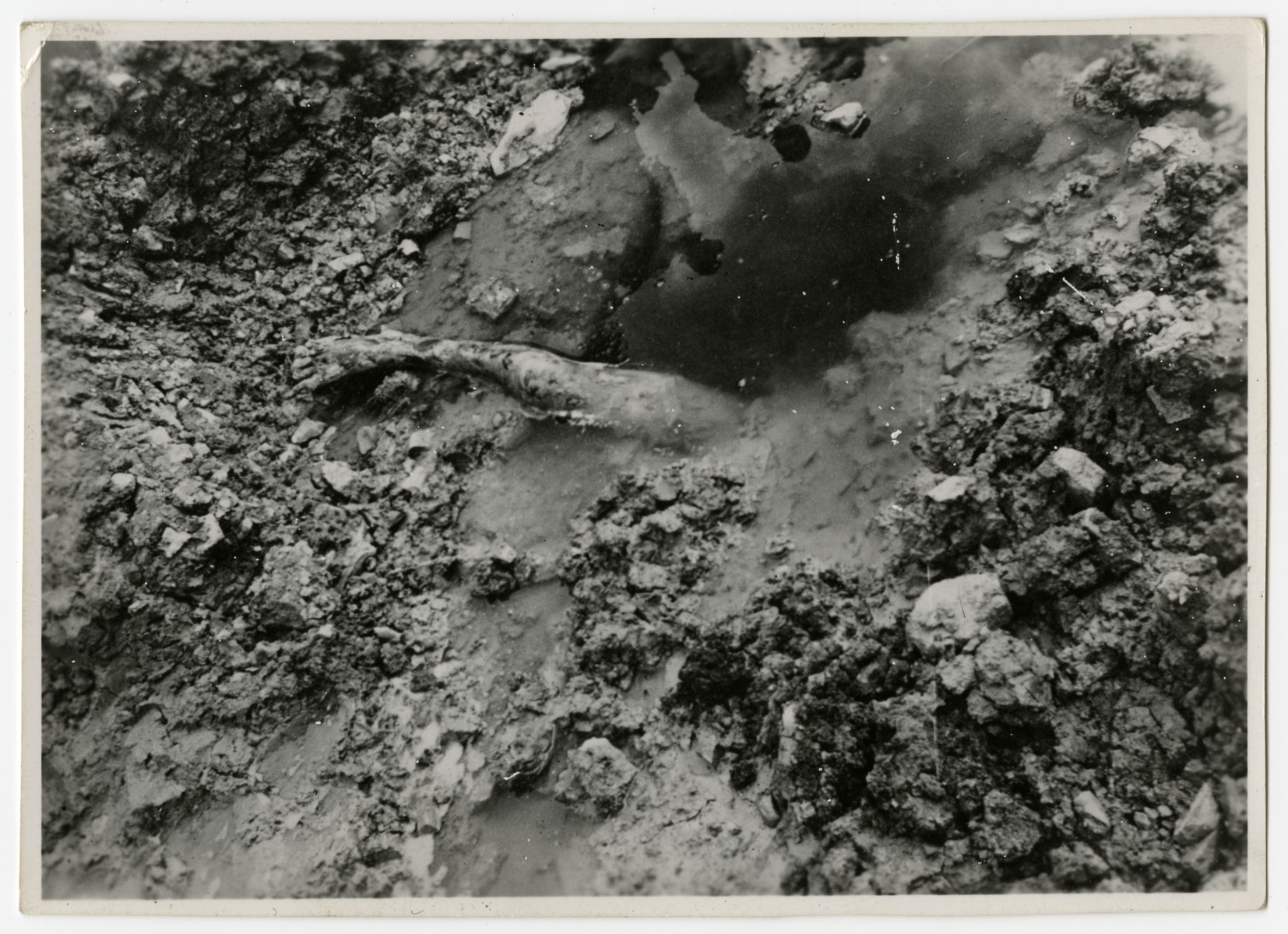 The leg of a body protrudes from a mass grave that was not full covered before the hasty retreat of the Nazis from Ohrdruf.

The original caption reads, "Leg of a body that is still protruding from the grave that was not fully covered by the hasty retreat of the Nazis. At Ohrdruf concentration camp Germany." [sic]

According to the Signal Corps caption, the photo was taken on  April 10, 1945.