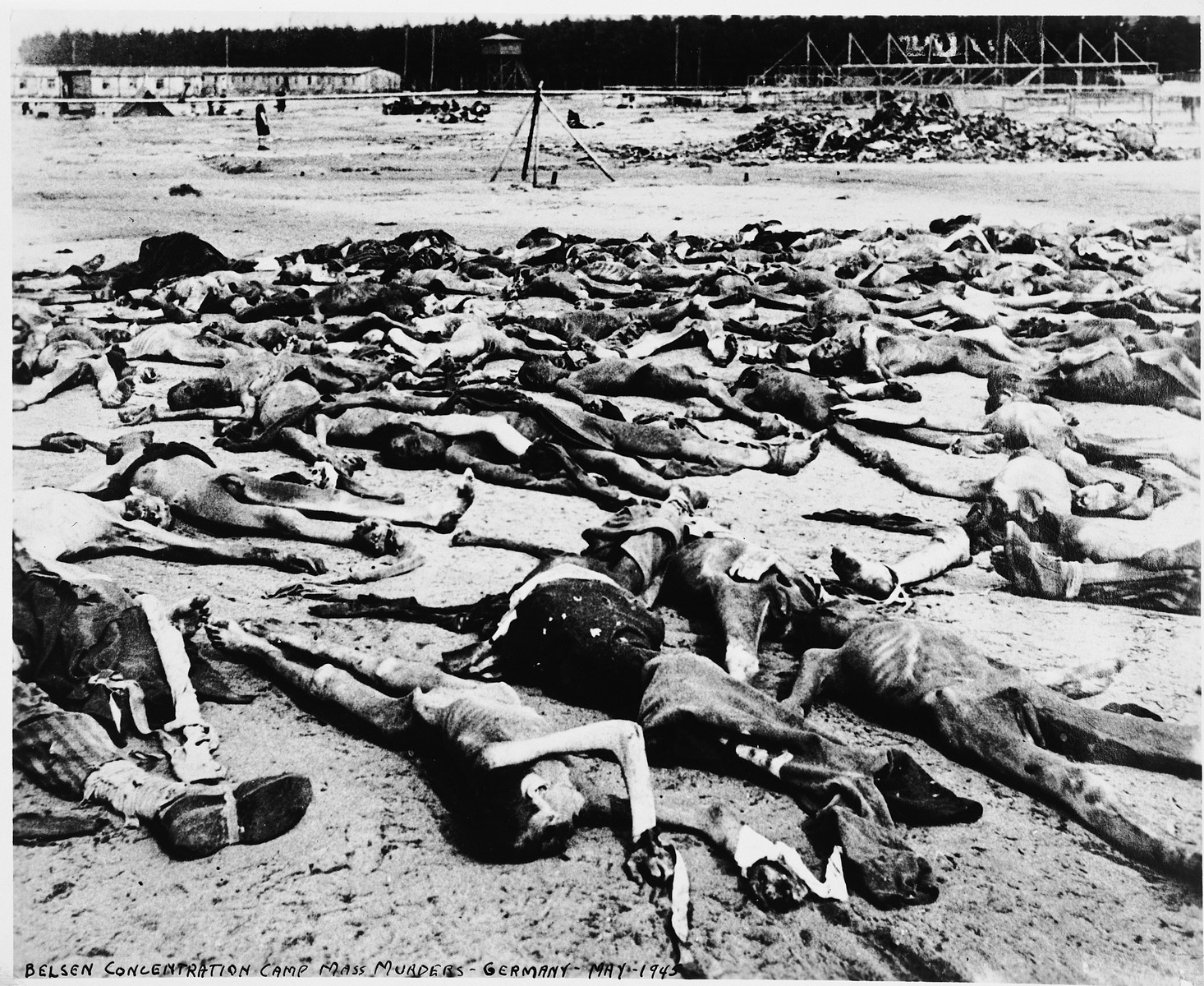 Decomposing corpses strew the grounds of the Bergen-Belsen concentration camp.