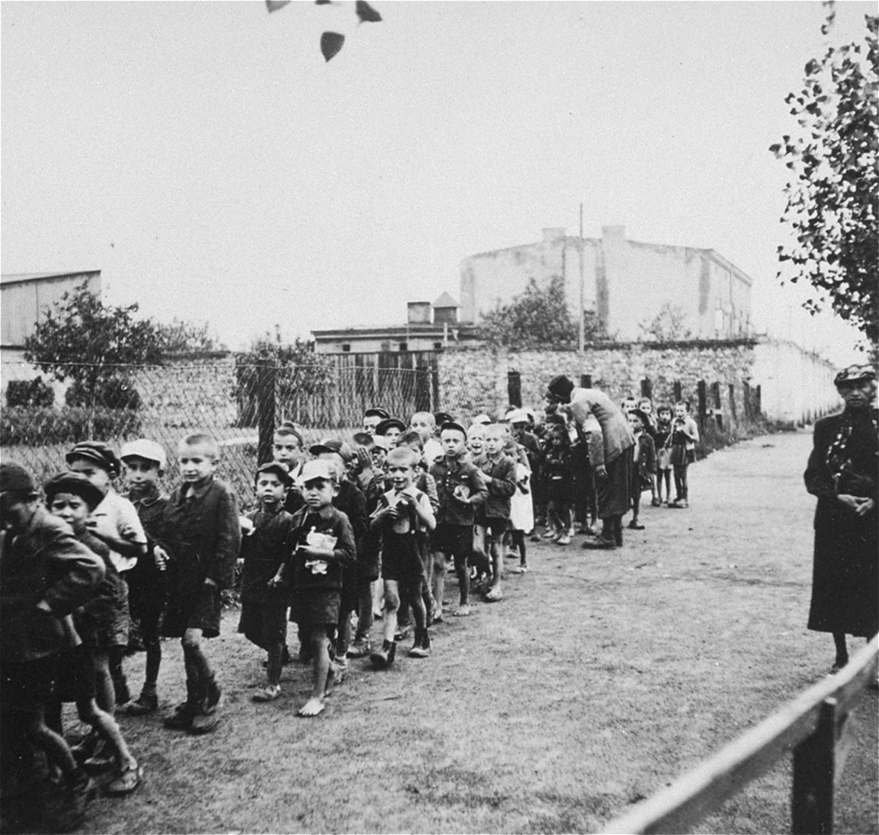 Children from the Marysin colony who were rounded-up during the "Gehsperre" action in the Lodz ghetto, march in a long column towards a deportation assembly point.
