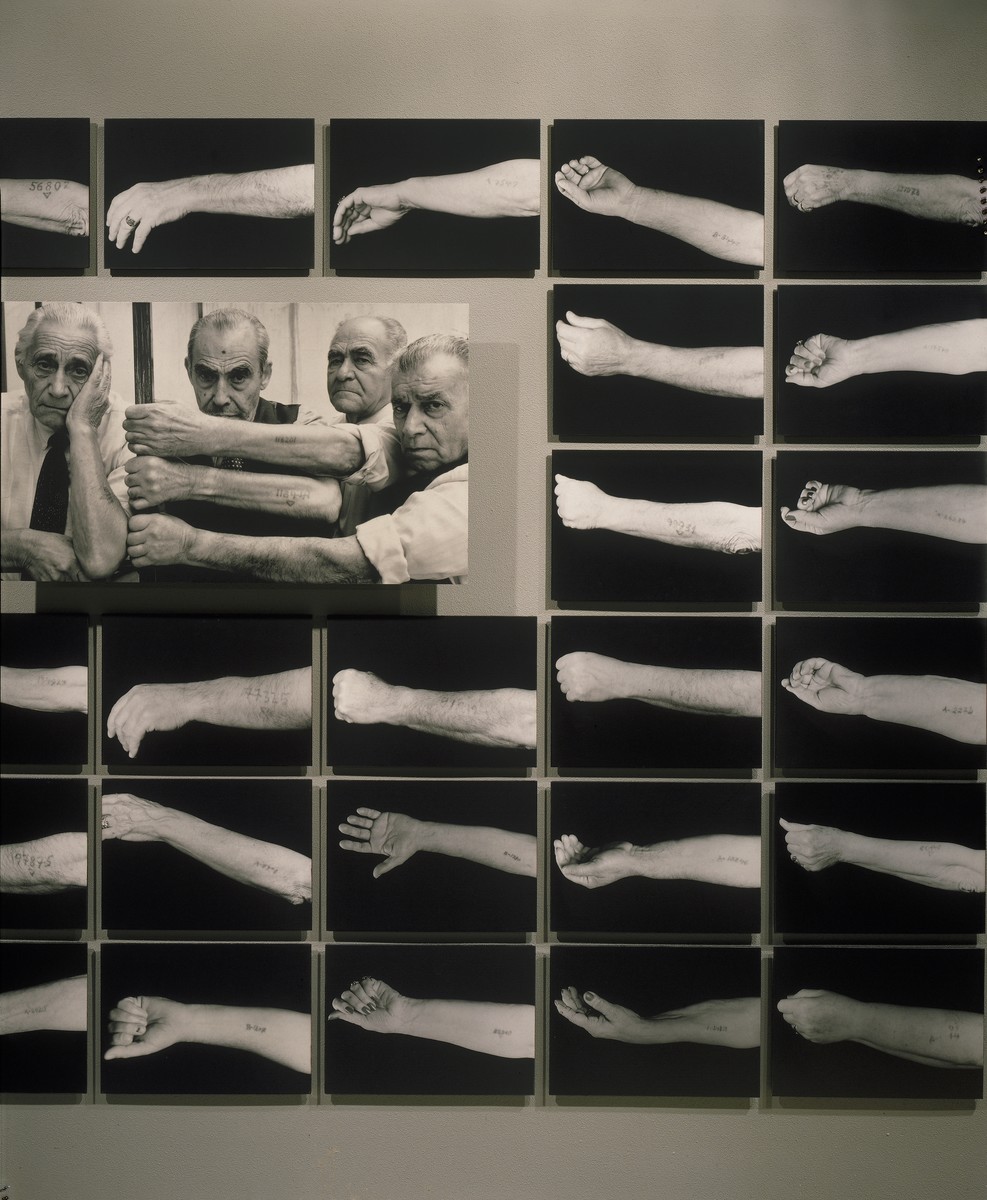 Portion of photo mural depicting Jewish Auschwitz survivors from Salonika showing their tattooed arms on the third floor of the permanent exhibition at the U.S. Holocaust Memorial Museum.
 
The center photograph was taken in 1991 by photographer Frederic Brenner  in Salonika, Greece.  Pictured from left to right are: Sam Porfeta, Mois Amir, Avraam Robisa, and Barouh Sevy.