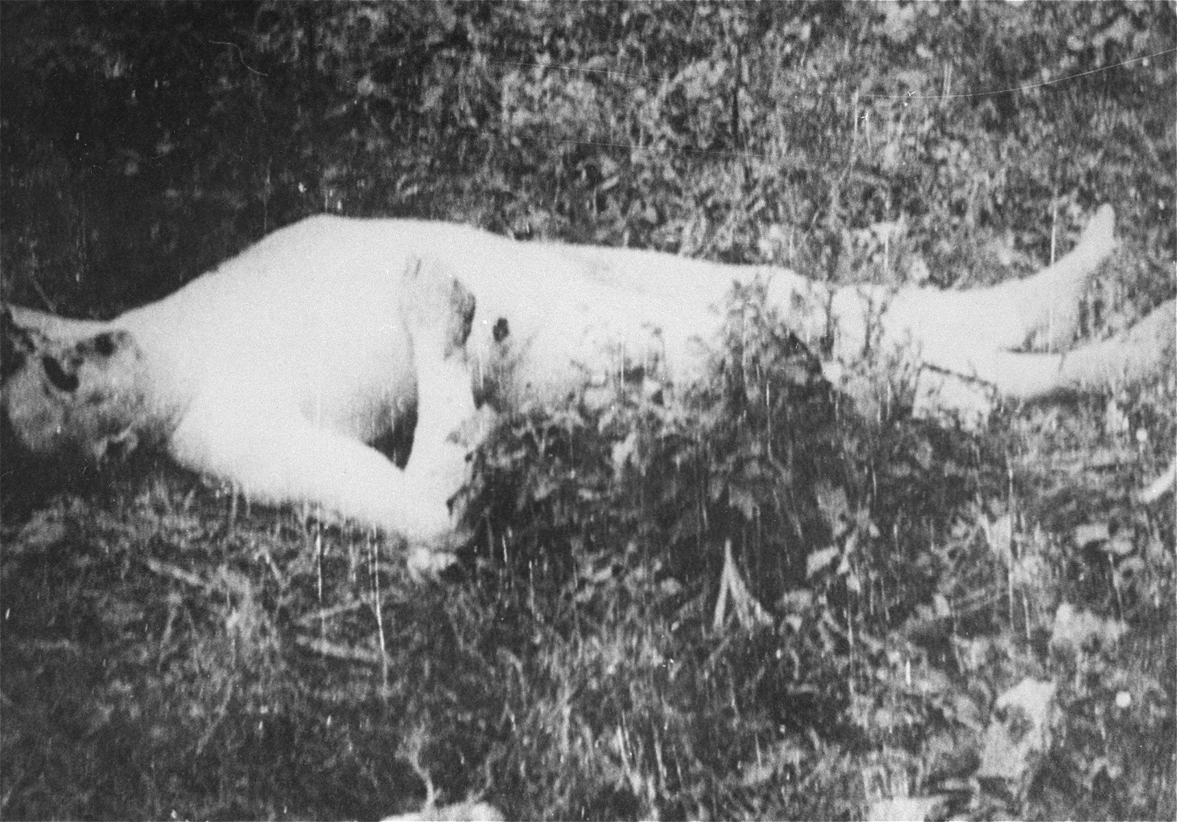 The body of a Romanian Jew who died on one of two death trains that left Iasi on June 30, 1941.  The first train was bound for Calarasi and the second for Podul Iloaiei.