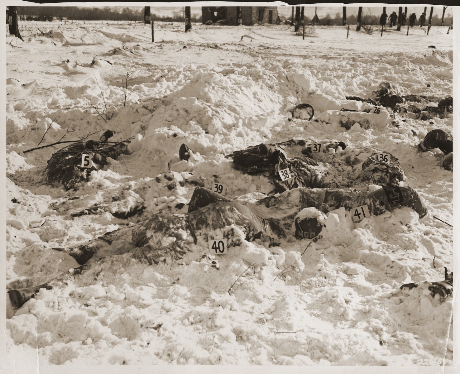 The corpses of American soldiers killed by the SS in the Malmedy atrocity.

The original caption reads "Bodies of American soldiers lie scattered here on the snowy terrain near Malmedy, Belgium, the victimns of German atoricities, committed on or about 17 December 1944."