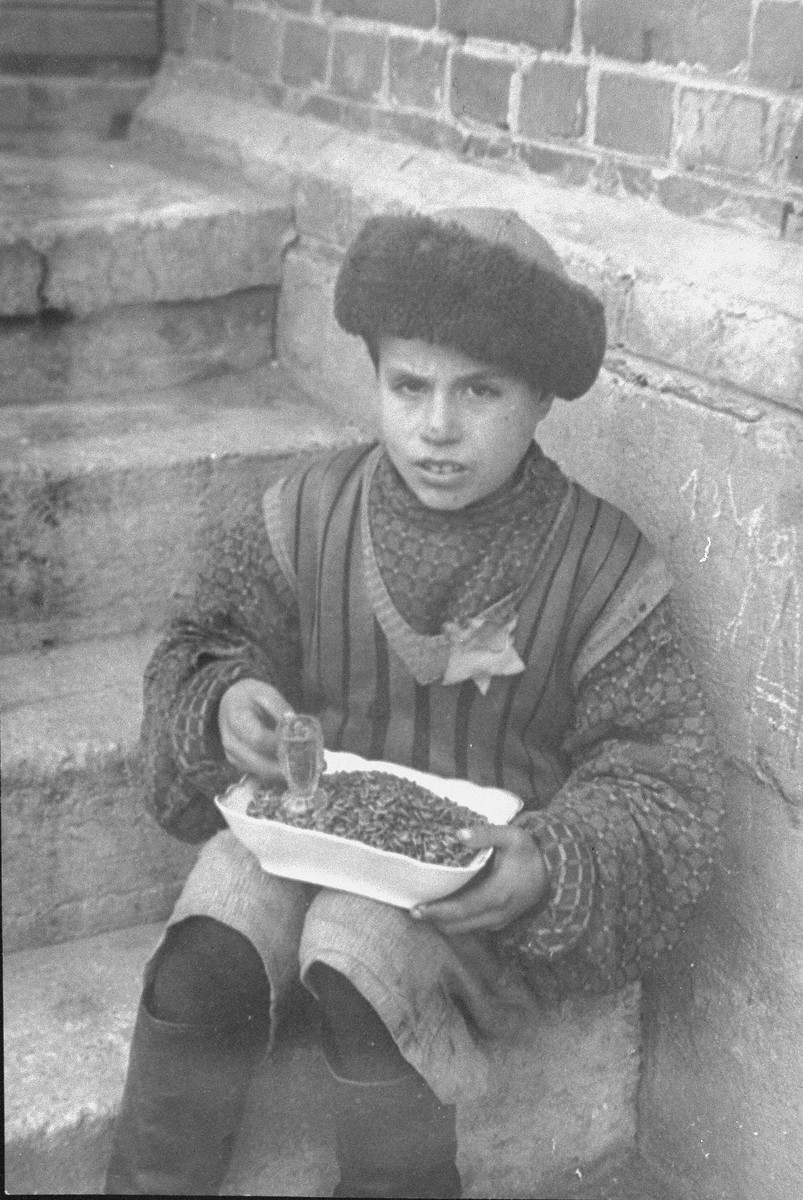 A young boy sitting on stairs outside, selling sunflower seeds.

According to Solly Ganor, "The boy in the fur hat was called 'Aldona,' I remember him because he always used to sing a Lithuanian love song called 'Aldona.'  His parents had perished in the beginning of the war and he lived with his aunt, who worked in town. She would smuggle into the ghetto sunflower seeds and 'Aldona' would sell them at the ghetto square. I heard that he was killed while trying to hide in a cellar while the ghetto was evacuated in July 1944. "