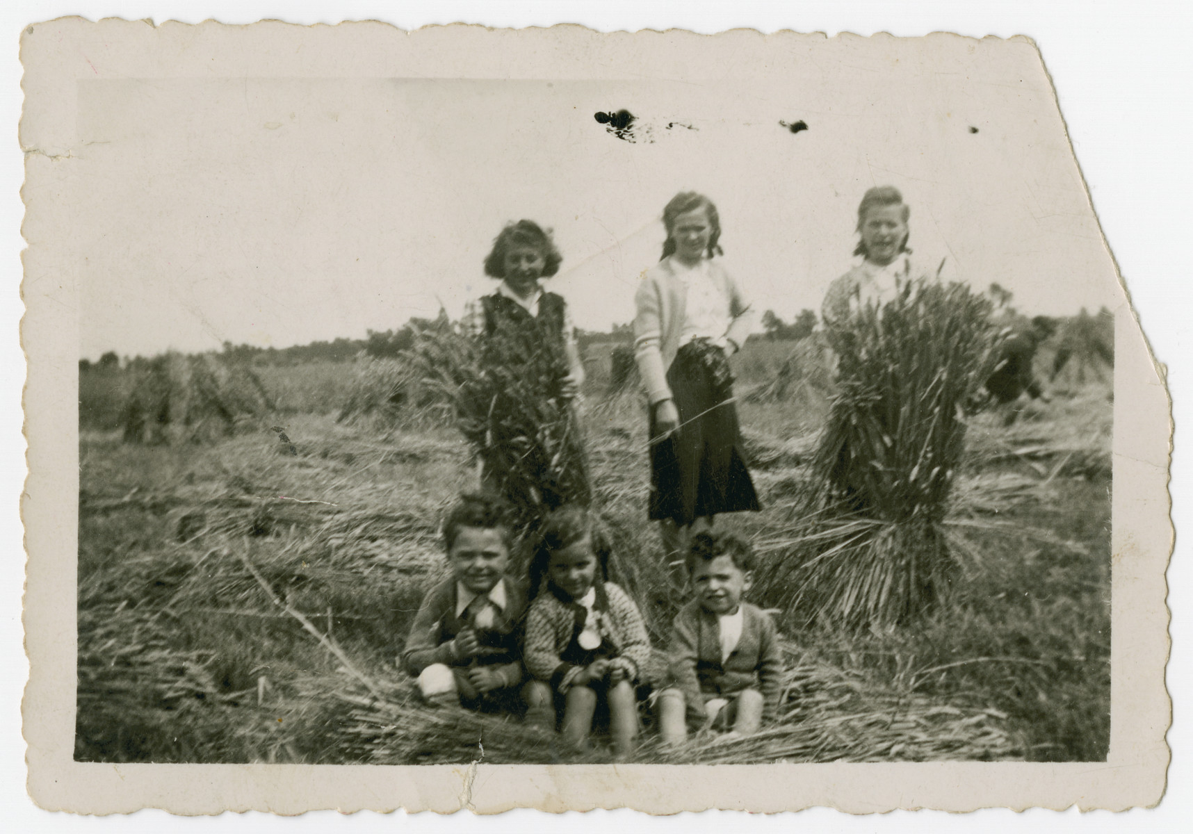 Three young Jewish children pose outside in a field in the Belgian countryside, where they are being hidden on the farm of a German maid.

Pictured in the foreground are Nestor Hochglaube (right), his brother Jacques (left), and ? Krevin in the middle.