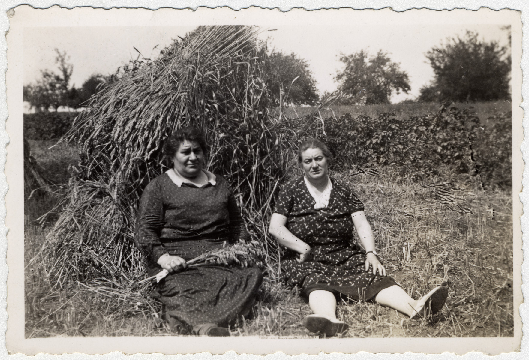 Two Alscatian Jewish women sit in a field next to a haystack.

Jeanne Moskow (the mother of Henri Moskow) is seated on the right.