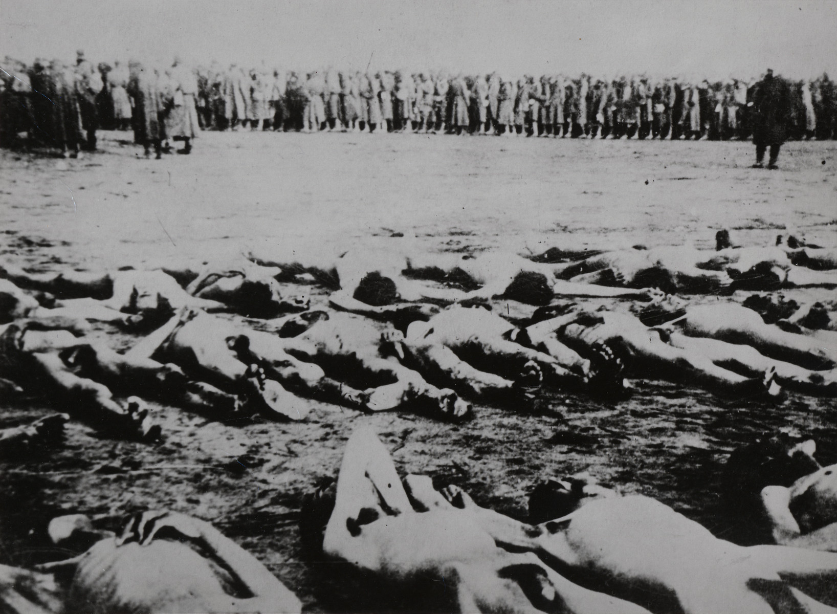 A column of Soviet POWs stands a short distance away from a large number of corpses laid out in rows in the open air.

The location shown in the image is disputed.  Herman Lewinter claims it is Janowska, while the State Archives of the Russian Federation claims it is Zloczew.  The other sources also claim the image shows a mass execution.