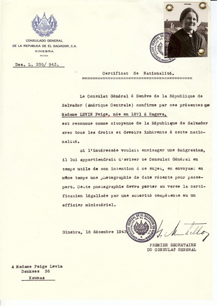Unauthorized Salvadoran citizenship certificate issued to Feige Levin (b. 1871 in Raguva) by George Mandel-Mantello, First Secretary of the Salvadoran Consulate in Switzerland and sent to her in Kaunas.