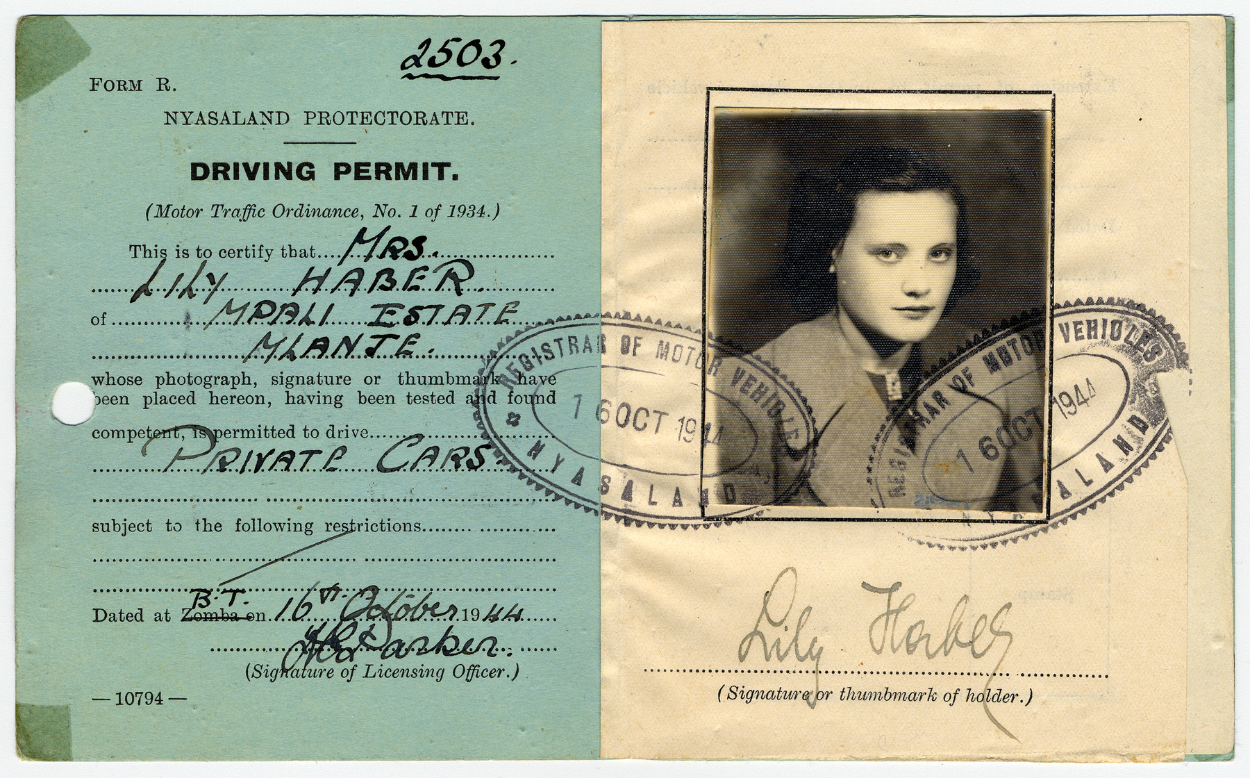 Driver's license issued to Lily Haber, a Jewish refugee, who was sent to Nyasaland as a British enemy alien.