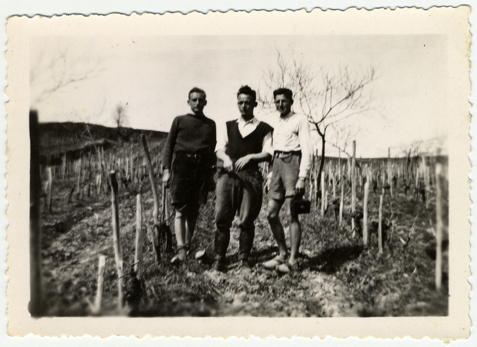 Three young men stand in the garden of the children's home Chateau de La Hille. 

Pictured are Leo Lewin, Alex Frank, who had been colony director from 1940 to 1941, and Kurt Moser. Lewin escaped illegally to Switzerland in 1943. Frank hiked to safety across the Pyrenees in 1943 and Moser was caught and deported to Auschwitz where he died from typhus in 1943.