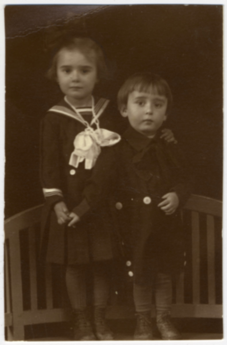 Studio portrait of two Jewish siblings in Sighet, both of whom perished in the Holocaust.

Pictured Suri and Ari Deutsch.

This is one photograph from the album of Rosalia Dratler Roiter.  She later was deported to and perished at Auschwitz.