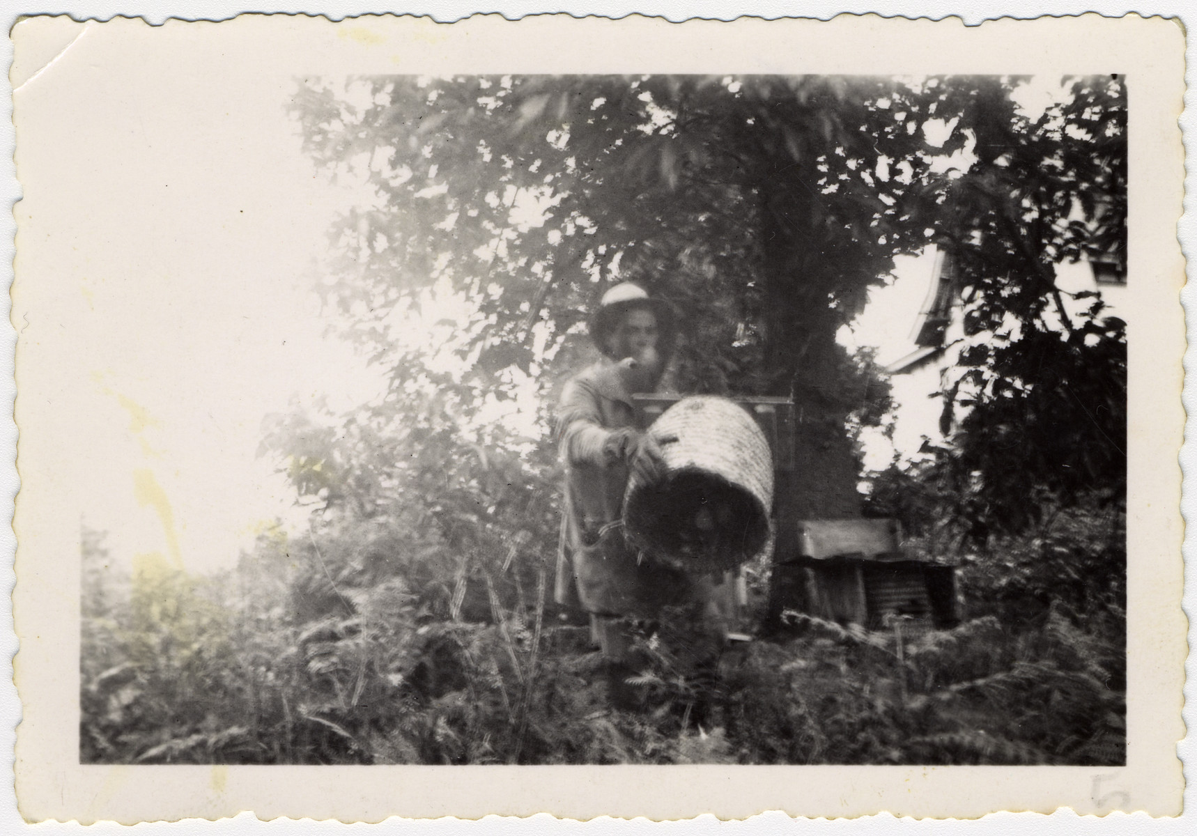 Izhak tends the beehives in the La Ramee agricultural school.

The school was established after Jewish students were expelled from general schools  and directed by Haroun Tazieff.