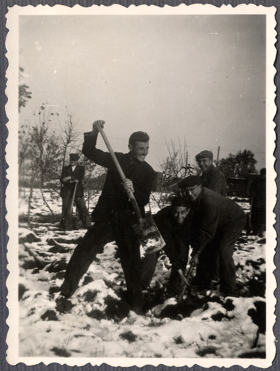 Jewish workers from the Lipa farm labor camp dig in the snow in Cervene Pecky where they were allowed to work for a week in the spring of 1942.

Mr. Stransky is on the right.