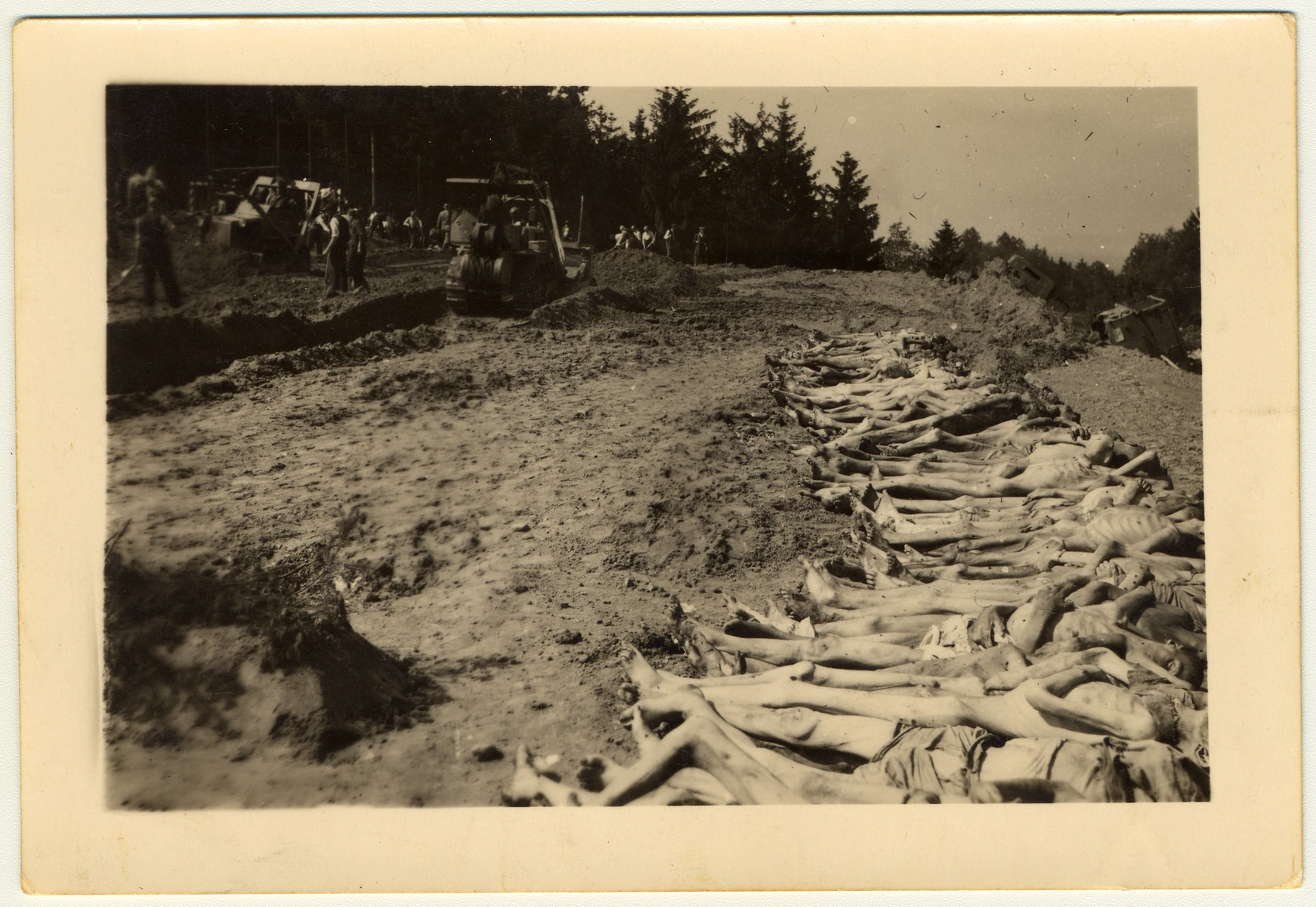 A row of corpses awaits burial by Austrian civilians in the Mauthausen concentration camp.