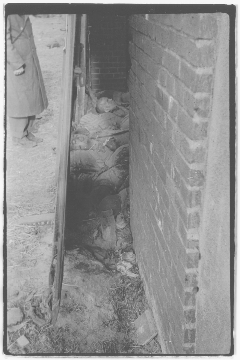 US Army officers from the 91st Evacuation Hospital Unit investigate the aftermath of the Gardelegen Atrocity. 

Corpses are seen inside the barn door.