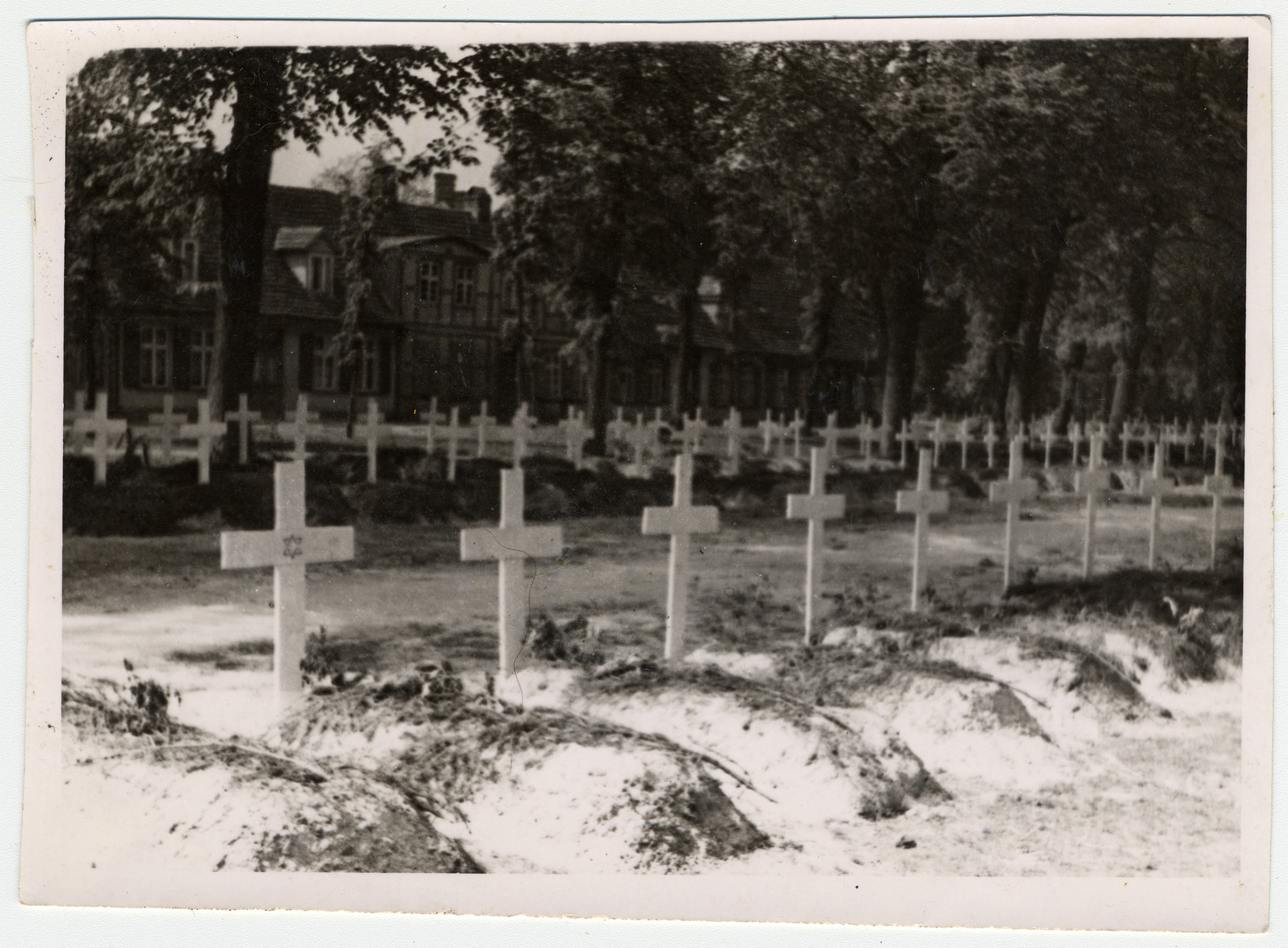 Graves dug by the people of Ludwigslust on the palace grounds of the Archduke of Mecklenburg.  German civilians were forced by U.S. troops to bury the bodies of prisoners killed in the Woebbelin concentration camp.