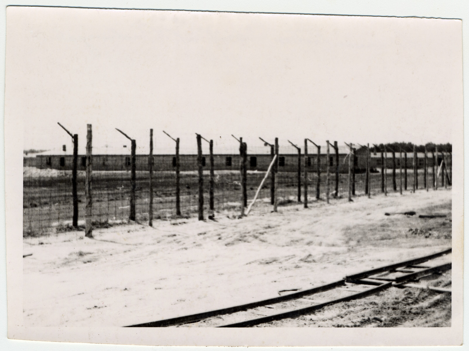 View through the fence at Woebbelin.