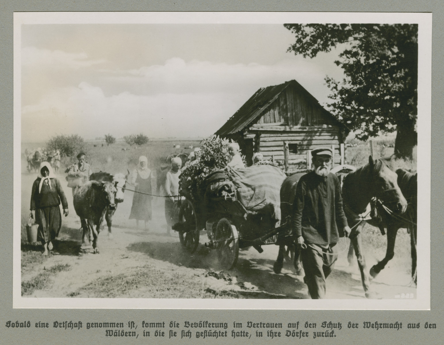 Peasants with wagons and livestock proceed down a dirt road.

The original caption reads: As soon as an area has been taken, the entire population returns to their villages from the forests to which they have fled, confident in the protection of the Wehrmacht.