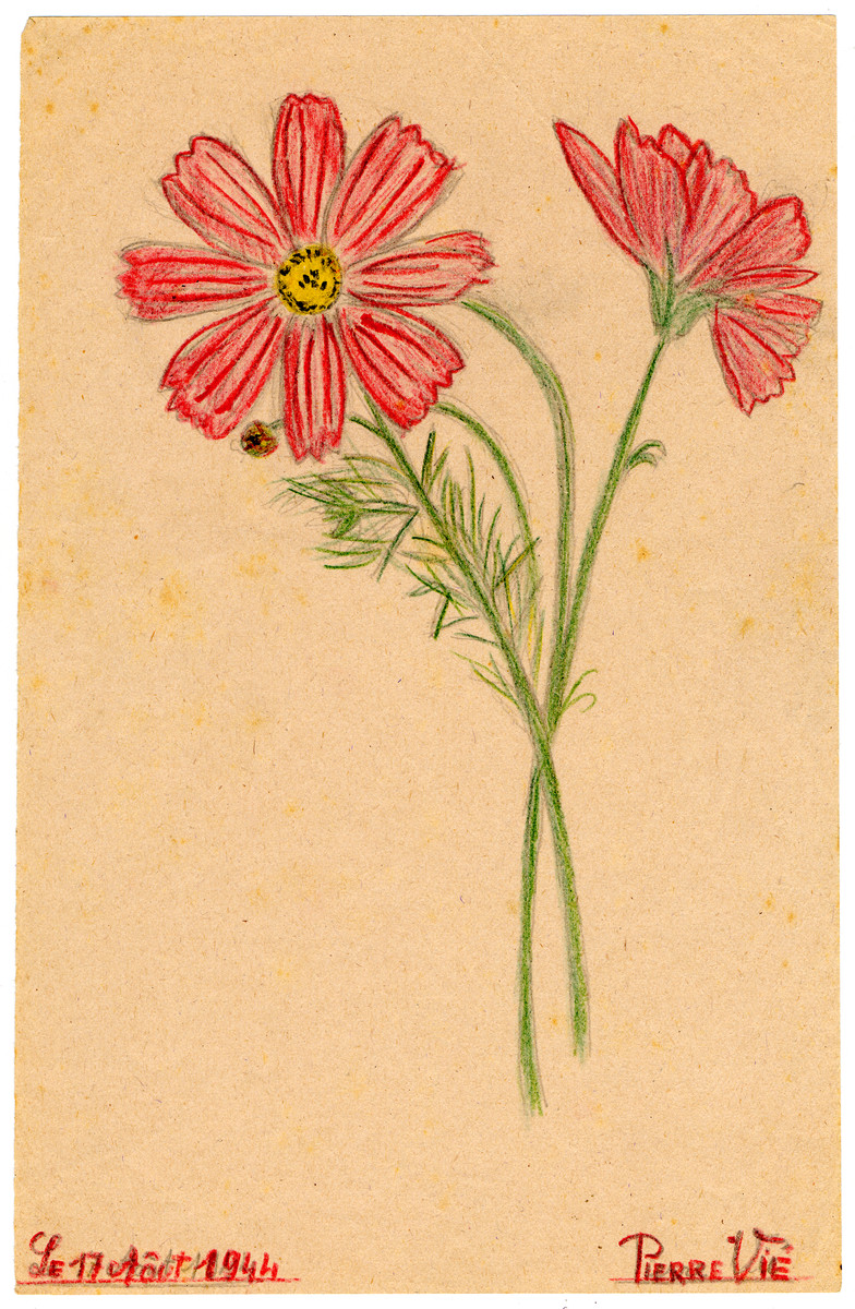 A child's drawing of a red flower in Chateau de la Hille.