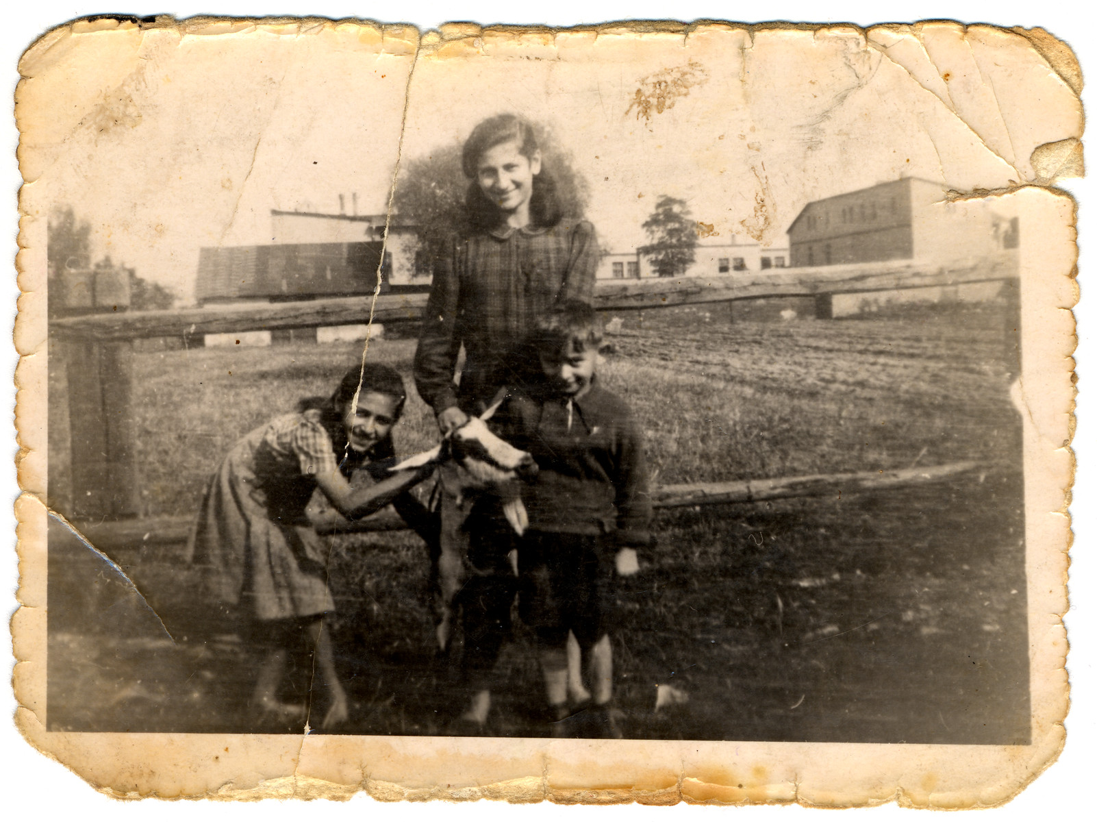 Three Jewish children pose next to a fence, holding a goat.

Pictured (left to right) are sisters Yentel, Sally, and Karol Slomnicki.  Sally carried this photo with her in her shoe throughout her time in forced labor camps.