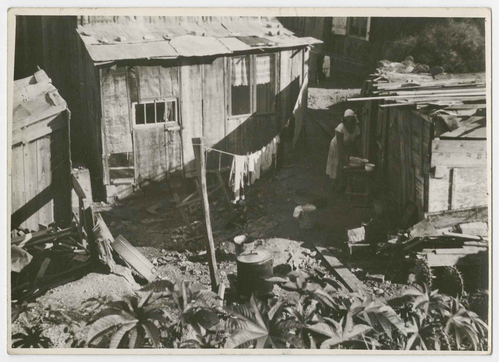 View of a workers' neighborhood "Shuhunat Haoved" in Tel Aviv.

Photograph is used on page 174 of Robert Gessner's "Some of My Best Friends are Jews." The pencil inscription on the back of the photograph reads, "Jewish."