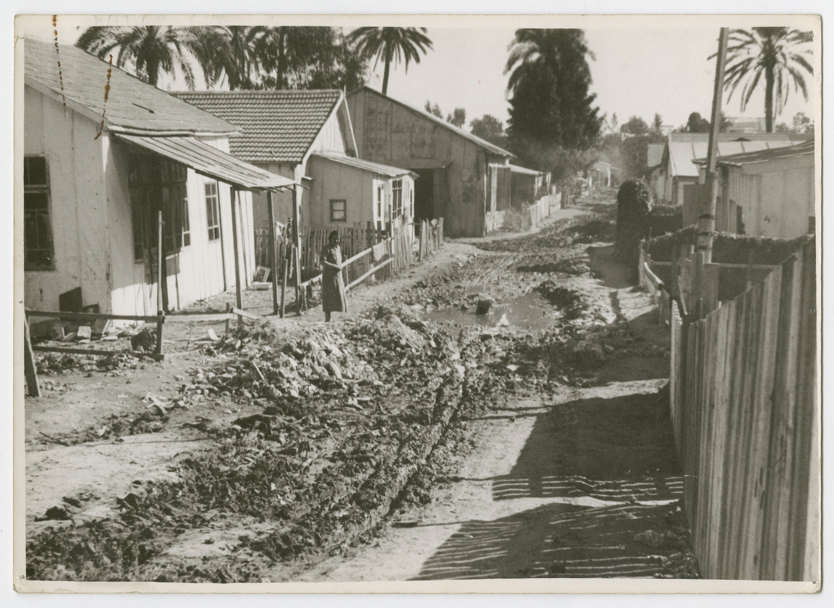 View of a settlement in Palestine.

Photograph is used on page 173 of Robert Gessner's "Some of My Best Friends are Jews."