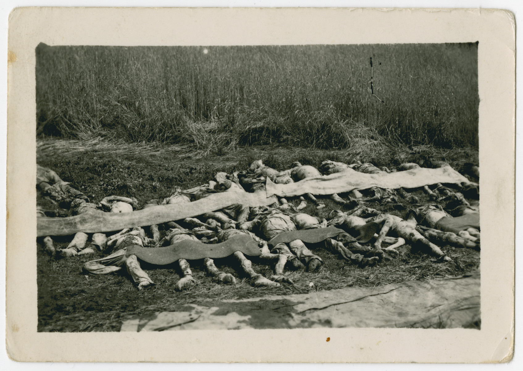 Corpses lie in a row partially covered in preparation for reburial.