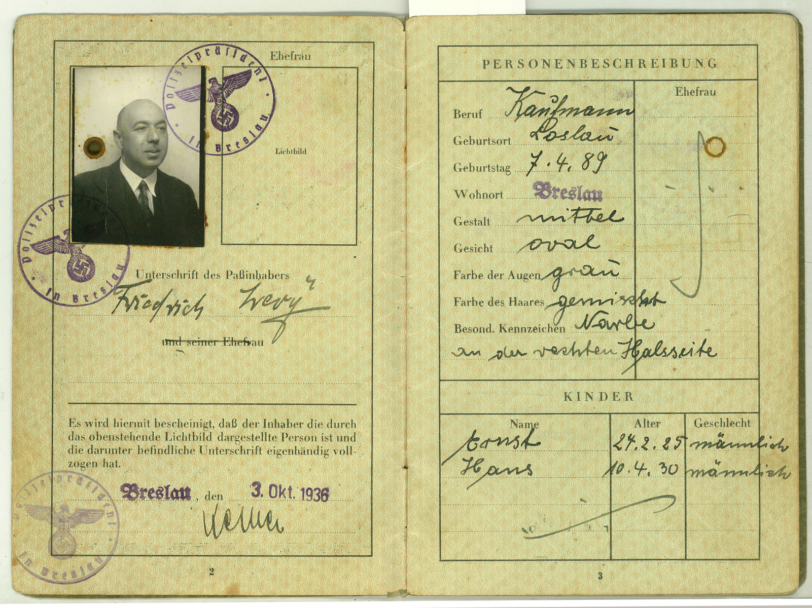 Identification papers issued to Friedrich Levy.