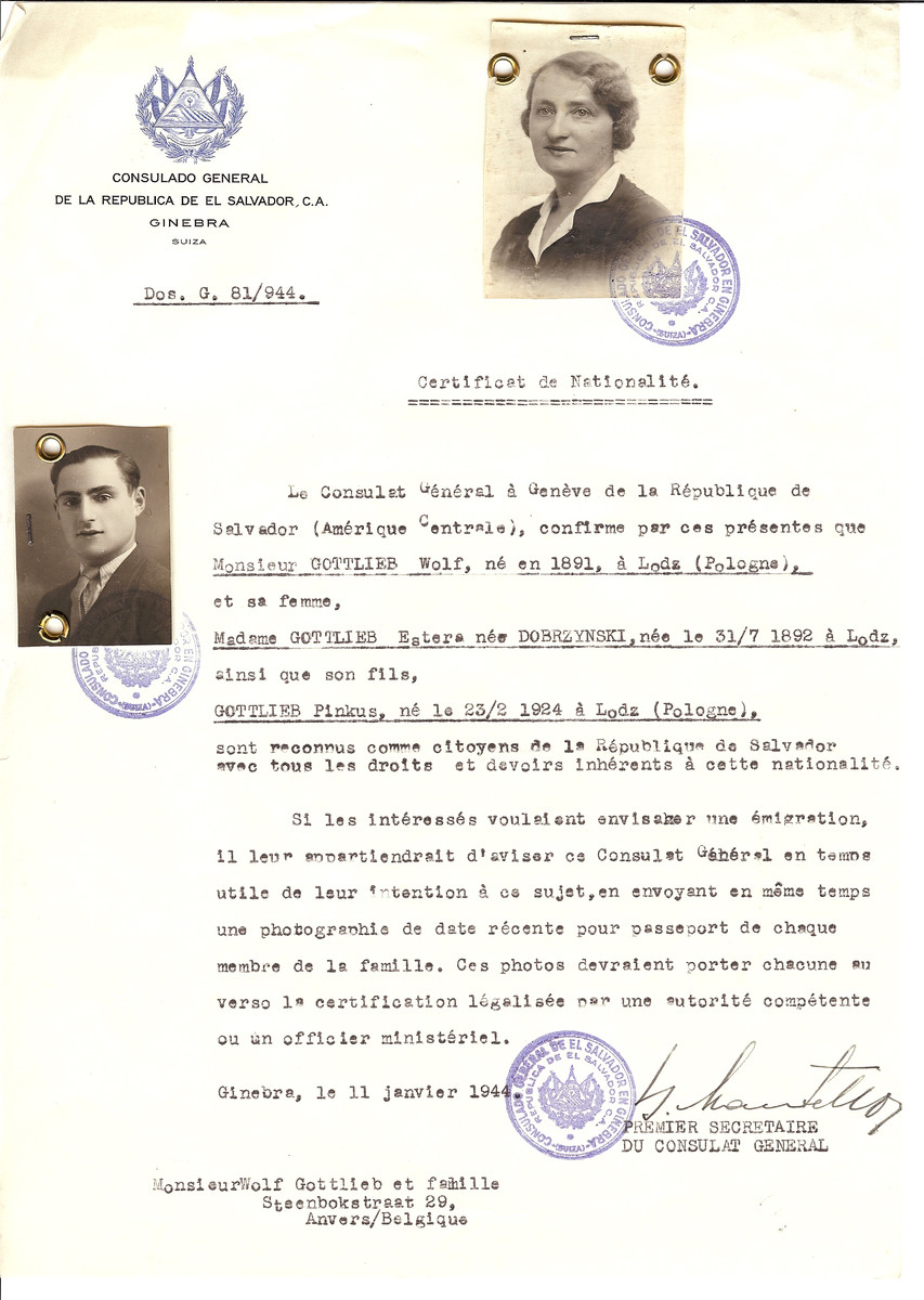 Unauthorized Salvadoran citizenship certificate issued to Wolf Gottlieb (b. 1891 in Lodz), his wife Estera (nee Dobrzynski) Gottlieb (b. July 31, 1892 in Lodz) and their son Pinkus Gottlieb (b. February 23, 1924 in Lodz) by George Mandel-Mantello, First Secretary of the Salvadoran Consulate in Switzerland and sent to their residence in Antwerp.