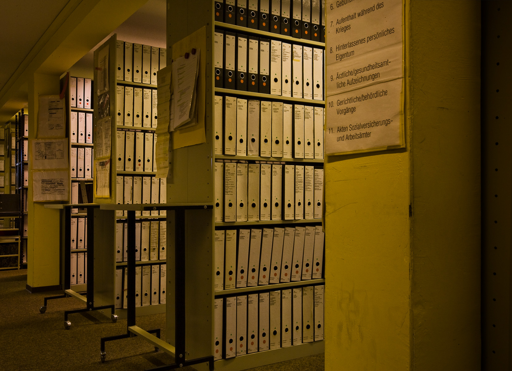 View of four bookshelves containing I.T.S. boxed files.