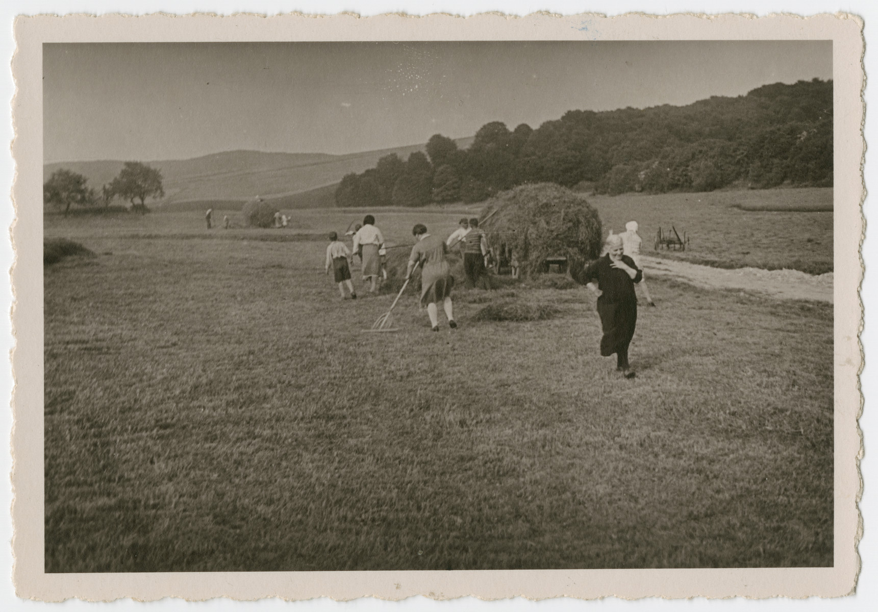 Photograph of extended Isenberg family harvesting hay. 

Pictured are: Erna Isenberg (in skirt), Rosa Isenberg (raking), Julie Isenberg (foreground, black dress), and Sigmund Isenberg (with cap next to hay cart).