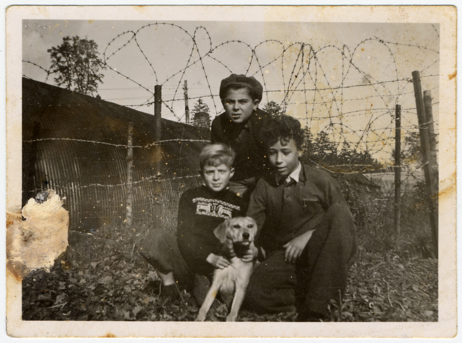 Three children who were on the Exodus pose with a dog in front of a barbed wire fence after having been sent back to Germany by the British.

Uri Urmacher is pictured in the top center.