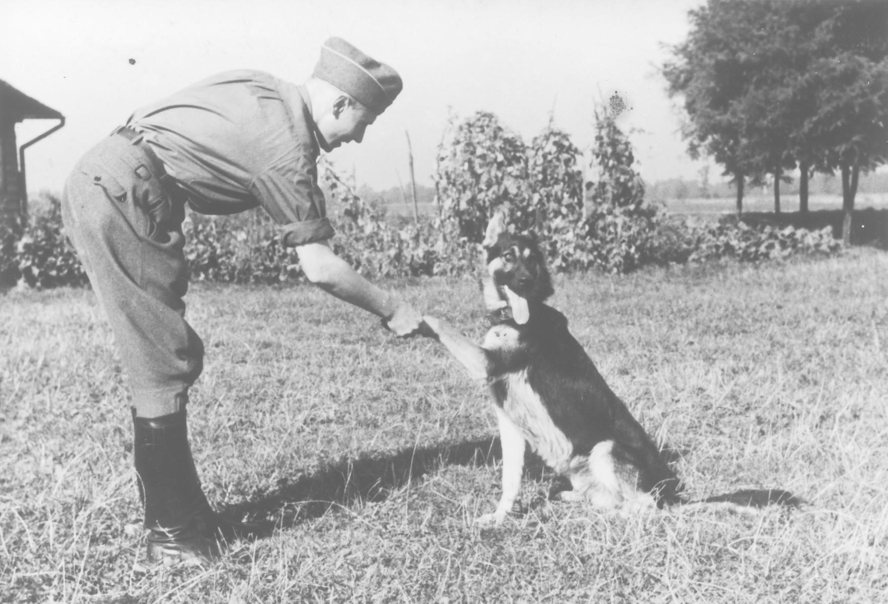 SS officer Karl Hoecker shakes hands with his dog Favorit.