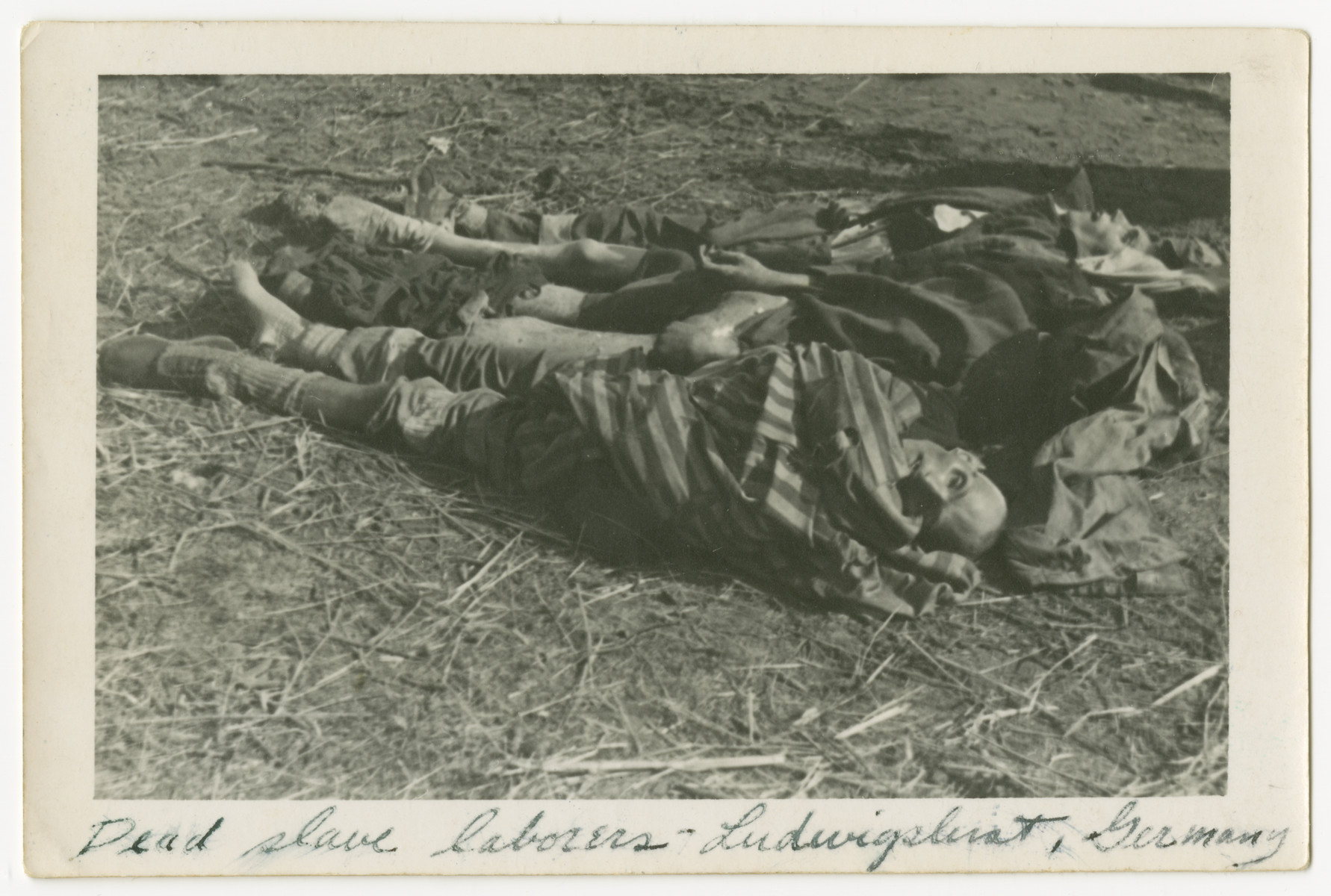 A line of corpses at Woebbelin concentration camp.

The photograph's original caption reads, "Dead slave laborers - Ludwigslust, Germany"