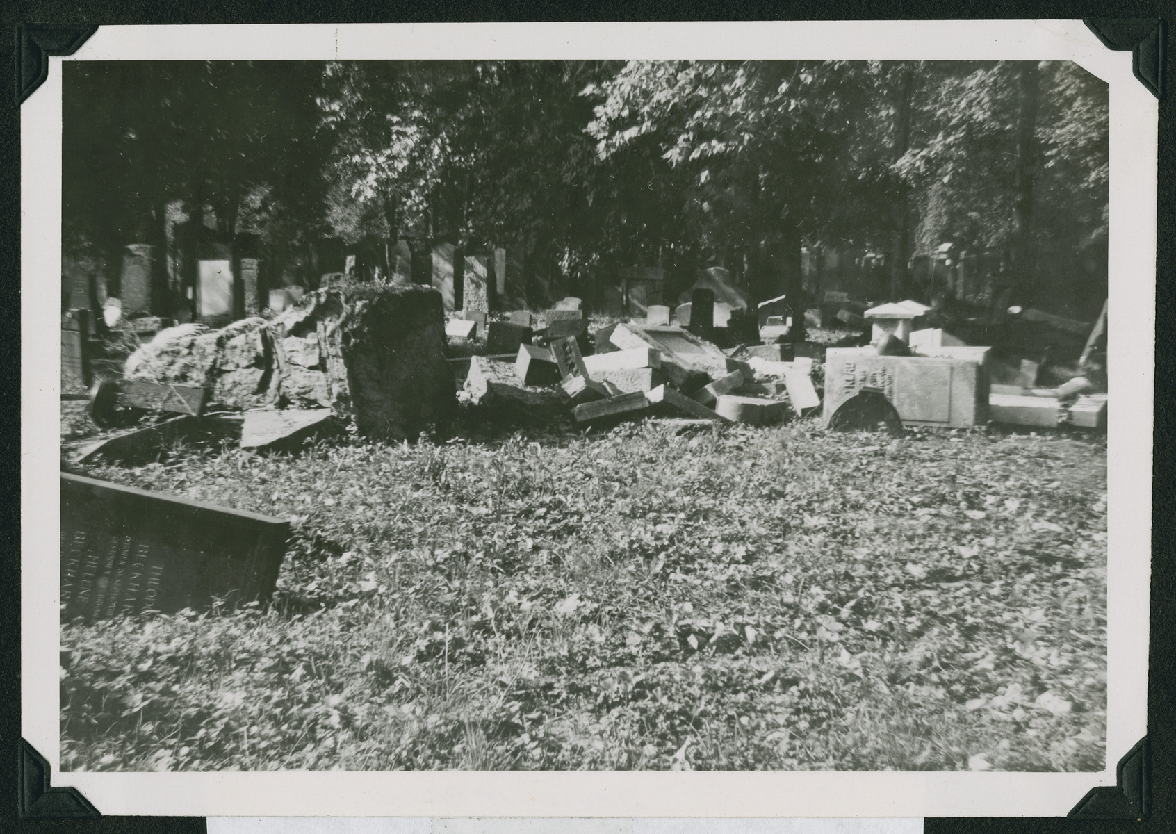View of the desecrated Jewish cemetery in Frankfurt.
