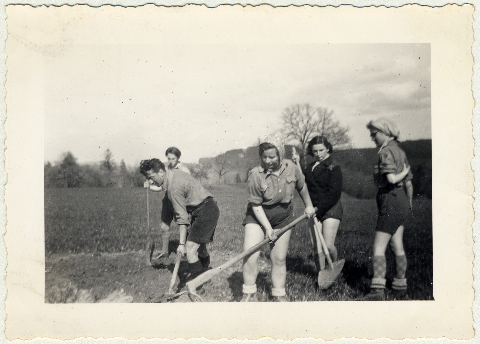 Joseph Protter, Regina Gelbart, Rudi, Minni, and Sitta, members of a Zionist youth movement, work in the fields.