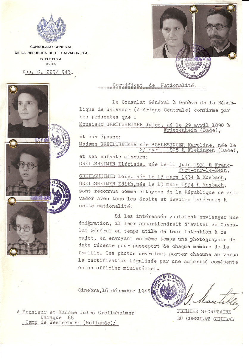 Unauthorized Salvadoran citizenship certificate issued to Jules Greilsheimer (b. April 29, 1890 in Friesenheim), his wife Karoline (nee Schlesinger) Greilsheimer (b. April 23, 1905 in Flehingen) and daughters Elfriede (b. June 11, 1931) and twins Lore and Edith (b. March 13, 1934 in Mosbach) by George Mandel-Mantello, First Secretary of the Salvadoran Consulate in Switzerland and sent to his residence in Amsterdam.

The whole family Greilsheimer plus grandfather had fled to Holland. They were already in Westerbork when the document came. Eventually they were all deported and murdered in Auschwitz.  Baby boy Isbert Isaak Greilsheimer was born in Westerbork, the son of Rabbi Julius Greilsheimer and Karolina Schlessinger. He 'died on 15 July 1943 in Westerbork transit camp and he was cremated on 16 July 1943. The urn with his ashes was placed on the Jewish cemetry in Diemen.