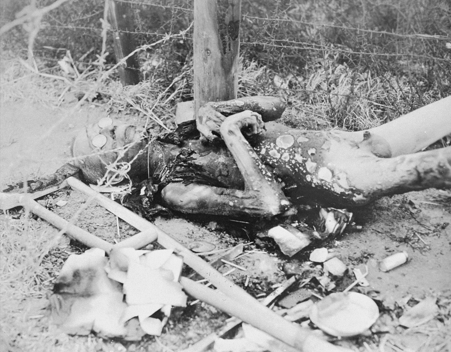 A burned corpse found at the base of the barbed wire fence in Leipzig-Thekla, a sub-camp of Buchenwald.