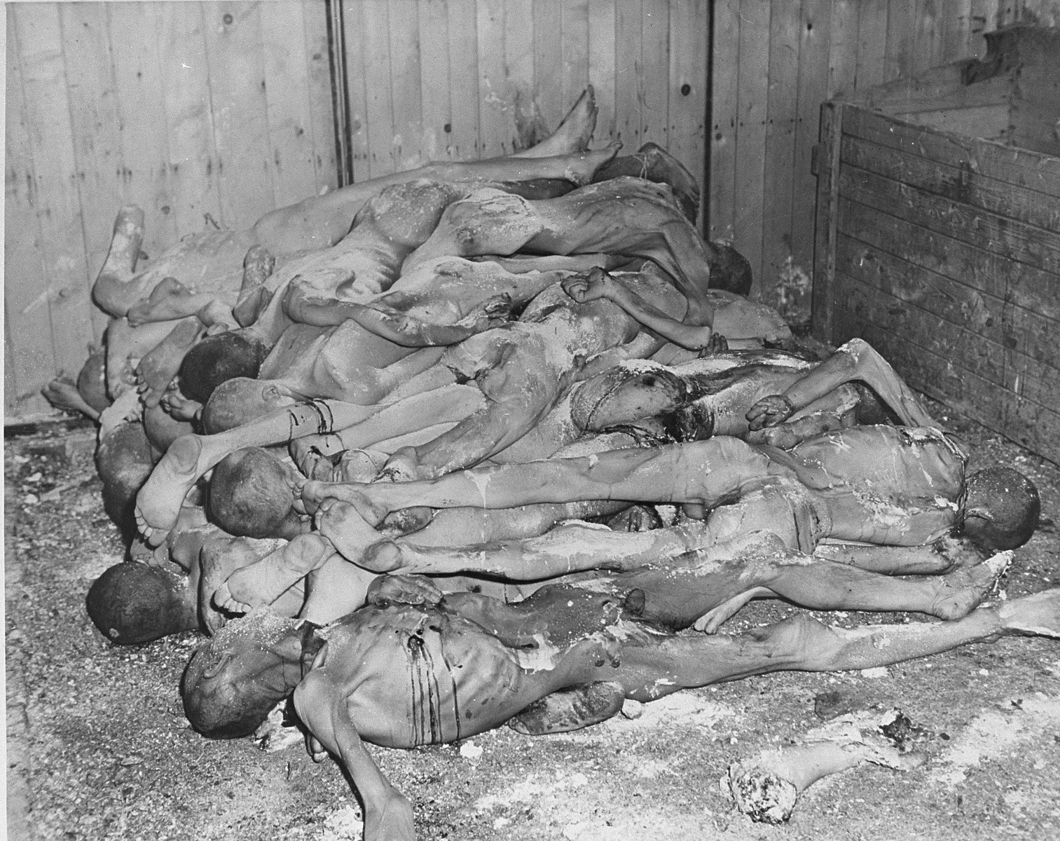The bodies of prisoners lie stacked in a shed in the Ohrdruf concentration camp.  

The original caption reads "These emaciated, nude corpses, stacked like cord-wood in a bin at the concentration camp at Goth, Germany, tell their own story of the sadism and brutality of the Nazi gaolers.  They are strewn with quicklime in a haphazard attempt to destroy evidence of the crimes.  General Dwight D. Eisenhower, Supreme Allied Commander, viewed the Gotha horrors during a tour of the Third Army Front."