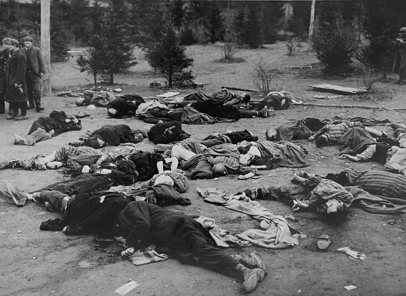 The corpses of Polish slave laborers who were machine-gunned by the SS prior to the evacuation of the camp.